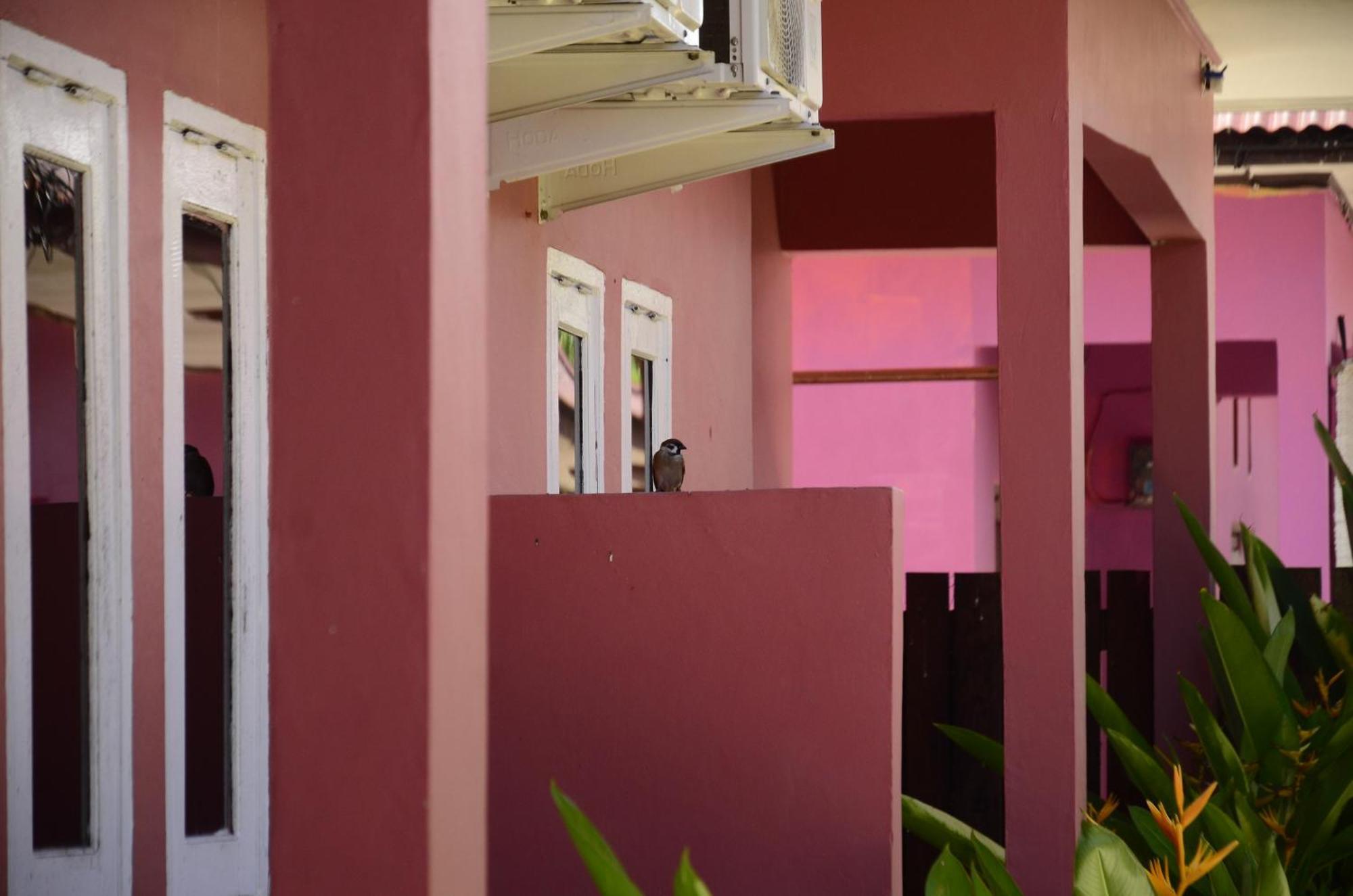 Baronda Guest House Sorong Exterior photo